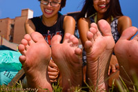 academic bare soles